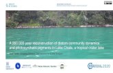 A 260 000-year reconstruction of diatom community dynamics … · 2020. 5. 7. · Lake Chala This study is aimed at reconstructing millenial-scale diatom community dynamics and analyzing