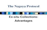 The Nagoya Protocol - OECD.org 2 Burton final.pdf · The Nagoya Protocol on Access to Genetic Resources and the Fair and Equitable Sharing of Benefits arising from their Utilization