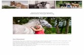 Equine Portrait Photography Informa4on, Packages & Pricing · 2019. 11. 13. · Photoshoot session fee - £60 There is an upfront cost of £30 which is payable at the