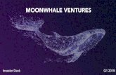 Moonwhale Pitch Deck STO Investment Platform v8 · 2019. 3. 27. · toa large investorbase Crypto Exchange for Secondary Market On-Boarding Token Issuance & Lifecycle Management STO