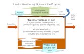 Land –Weathering, Soils and the P cycle€¦ · Land –Weathering, Soils and the P cycle Aerosols Precipitation Transformations in soil Organic matter decomposition (produces gases,