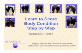 Learn to Score Body Condition Step by Step - dairy information · Learn to Score Body Condition Step by Step Adapted from the 1997 Elanco Animal Health publication, "Body Condition