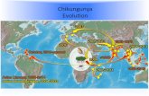 Chikungunya* Evoluon · , 2010 Asian Lineagè( 19582014 Indian Ocean Lineage, 2004-2018 1963-1'973 < 1958 2004 2005-2011