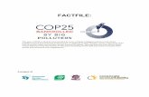 FACTFILE - Corporate Europe Observatory · 2019. 12. 6. · 27 “ Solicitud de Medidas cautelares ante la Comisión Interamericana de Derechos Humanos ”, Asociación de Afectados