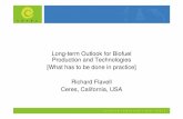 Long-term Outlook for Biofuel Production and Technologies ... · PDF file – Conversion to biofuels and distribution to societies – Feedstock choices – Feedstock development ...