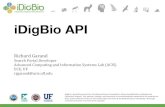 Making Data in Archives Findable Through Standardization ... · 5 So, why use the iDigBio API? •The iDigBio API allows your system to easily retrieve information aggregated by iDigBio
