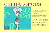 HI KIDS, MY NAME IS SQUIDWARD. WANNA MEET SOME OF MY ... · characteristics • most advanced of the mollusks • eyes are highly developed • active swimmers – squirt water out