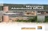 Strategic Framework for Managing Abandoned Minesrehabitaust.com.au/wp-content/uploads/2016/05/StrategicFramewor… · Strategic Framework for Managing Abandoned Mines 3 Working Group