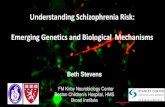Understanding Schizophrenia Risk: Emerging Genetics and ... · 11/3/2017  · Understanding Schizophrenia Risk: Emerging Genetics and Biological Mechanisms . birth 6 years 14 years