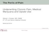 Underwriting Chronic Pain, Medical Marijuana and …nehoua.org/uploads/2/8/6/2/2862688/perils_of_pain.pdf• Used in treating opiate addiction • 2nd line drug for pain control •