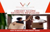 CREDIT SCORE SECRETS REVEALED com. The credit bureaus even have their own score named Vantage Score.