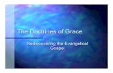 Rediscovering the Evangelical patl/VBC_PDF/radical_depravity.pdfآ  The Doctrines of Grace Rediscovering