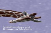 Anesthesiology and Emergency Medicine - Airway World · in particular in the area of difficult airway management. Video-assisted learning, such as using video laryngoscopy, promotes