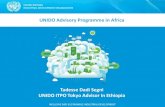 Tadesse Dadi Segni UNIDO ITPO Tokyo Advisor in …Tadesse Dadi タデッセ・ダディ Adviser in Ethiopia, Burundi and Rwanda (Based in Ethiopia, Addis Abeba) UNIDO INVESTMENT AND