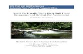 North Fork Walla Walla River Bull Trout Patch Occupancy ... · 12/5/2014  · On the cover: In the North Fork Walla Walla River, threatened bull trout use critical habitat to overwinter