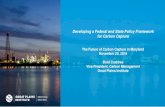 CARBON MANAGEMENT OPPORTUNITIES IN THE POWER … · on Carbon Capture, Utilization & Storage 2002 Organized first meeting of Midwest industry executives, state officials and NGOs