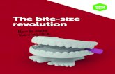 The bite-size revolution - guanaitong.com · Clearly, bite-size is much more than just shorter courses. Calling upon numerous academic studies and psychological research, as well