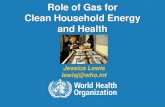 Role of Gas for Clean Household Energy and Health · 10| Clean Household Energy Household Ambient Household air pollution is a major contributor to ambient GBD MAPS Working Group,