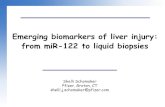 Emerging biomarkers of liver injury: from miR-122 to liquid biopsies€¦ · 02/05/2017  · miR-122. Clinical Relevance: Potentially more sensitive than ALT Elevated in patients
