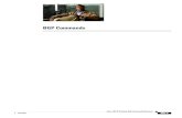 BGP Commands - CiscoBGP Commands address-family ipv4 (BGP) IRG-5 Cisco IOS IP Routing: BGP Command Reference July 2011 Usage Guidelines The address-family ipv4 command replaces the