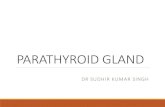 PARATHYROID GLANDaiimsrishikesh.edu.in/aiims/document/General... · Hypertrophied parathyroid glands fail to return to normal- Continue to over secrete parathyroid hormone, despite