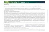Review - Invasive Species cactus speci… · de cacta´ceas de Norte y Centro Ame´rica, Herbario Virtual da Flora e dos Fungos, Intermountain Regional Herbar-ium Network, Global