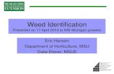 Weed Identification · Weeds of the Northeast. By Uva, Neal and DiTomaso. 1997. Cornell University Press ($26.00) Weeds of the North Central States. By Bucholtz et al. 1981. Univ.