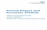 Annual Report and Accounts 2018/19...Annual Report and Accounts 2018/19 NHS Hammersmith and Fulham Clinical Commissioning Group 1 Performance Report ..... 4 1 Performance 1.1 Statement