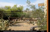 Desert Discovery Park Concept Plan · 2013. 8. 31. · The Desert Discovery Center (DDC) and Park, a 7,000 square foot facility and its surrounding 12 acres, are owned by the Bureau