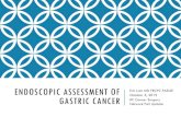 Endoscopic assessment of Gastric Cancer · BSG gastric cancer guidelines 2019 Intent to screen and survey high risk patients Family history Known intestinal metaplasia proximal to
