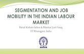 Bimal Kishore Sahoo & Bhaskar Jyoti Neog IIT Kharagpur, India · 2019. 9. 13. · Labour market segmentation and occupational mobility is especially pertinent in country like India