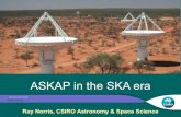 ASKAP in the SKA era - CAASTROcaastro.org/files/49/1186655647/ray-norris---askap-in-the-ska-era.pdf · ASKAP in the SKA era •SKA-MID has somewhat higher survey speed than ASKAP