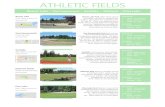 ATHLETIC FIELDS - Sammamish · 2019. 1. 5. · ATHLETIC FIELDS Beaver Lake Park offers three natural turf fields, primarily for baseball and 2526 244th Avenue SE softball. Base paths