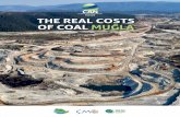 THE REAL COSTS OF COAL MUĞLAcostsofcoal.caneurope.org/assets/report.pdf · Turkey’s Muğla region told by this study has many of the regrettable hallmarks so characteristic of