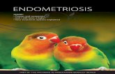 EndomEtriosis · 2 IntroduCtIon Endometriosis is a common and sometimes painful condition of the reproductive system, which affects up to one in 10 women.1e it being so common, it