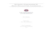 Stochastic Programming for Hydro-Thermal Unit …...Stochastic Programming for Hydro-Thermal Unit Commitment Doctoral dissertation Tim Schulze School of Mathematics The University