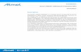 Atmel | SMART SAM9261 Datasheet · The SAM9261 also benefits from the integr ation of a wide range of debug features including JTAG-ICE, a dedicated UART debug channel (DBGU) and