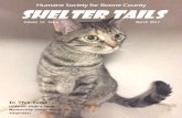 Humane Society for Boone County SHelter Tails€¦ · LIVING IN THE SHADOWS A "feral" cat is unsocialized and tends to be fearful of people and keep a distance. Ferals are most of-ten