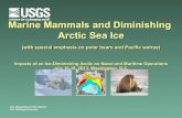 Marine Mammals and Diminishing Arctic Sea Ice · Killer whale ! Beluga * ! Bowhead whale * ! Fin whale ! Minke whale ! Gray whale ... noise, strikes, disturbance and pollution ! ...