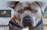 Seattle Animal Shelter Foundation - 2017 annual report · Seattle’s homeless pets to be sheltered, cared for, and find a family of their own - to occupy space in their hearts forever.