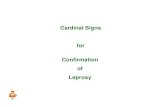 Confirmation of Leprosy - cltri.gov.in Confirmation of leprosy.… · Confirmation of Leprosy Cardinal Signs for . 2 Suspecting Leprosy: 3 Suspecting Leprosy: 4 Suspecting Leprosy: