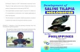 Enhanced Tilapia) or GIFT (G enetically Improved Farm Tilapia) in …aquatechnidocwestly.weebly.com/uploads/1/0/6/3/10636182/... · 2018. 10. 4. · Westly R. Rosario Center Chief