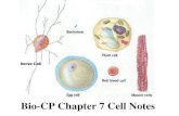 Bio-CP Chapter 7 Cell Notes · II. Cell Theory (Schleiden 1838, Schwann 1839, & Virchow 1855) A. Cell Theory States: 1. All living things are composed of cells. 2. Cells are the basic