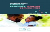 Michigan ACE Initiative BUILDING RESILIENCE, HEALING ... · the Michigan ACE Initiative Since its inception, the Michigan ACE Initiative has partnered with ACE Interface for its Master