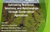 Cultivating Resilience, Solutions, and Relationships ......Cultivating Resilience, Solutions, and Relationships through Conservation Agriculture. Rob Vink Agricultural Technician.