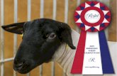 2019 RAWF Breeding Sheep Show - The Royal Agricultural ...€¦ · The W.B. Harris Trophy Presented to the Best Pair of Dorset Ewes by Mr. W.B. Harris, King Creek Farm, King, ON.