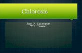 Chlorosis - grapesociety.org · Chlorosis Year 3 ๏ No yield differences ๏ The very high rate as good as anything higher ๏ 64 lbs/A FeEDDHA ๏ Spot treatment? ๏ Price (estimated