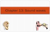 Chapter 13: Sound wavesmrdphysics.weebly.com/.../soundwaves_notes.pdf · Characteristics of Sound Waves Sound waves that the average human can hear, called audible sound waves, have