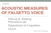 Acoustic measures of falsetto voice - UCLA · 2017. 3. 14. · J. Voice 1.3, 223-233 • Nair (1999), Voice tradition and technology: A state- of-the-art studio. Singular. • Neiman