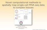 Novel computational strategies to spatially map …2015/05/26  · Novel computational methods to spatially map single-cell RNA-seq data to complex tissues Audrey Fahrny Technical